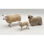 Three ceramic sheep including Texel Ewe and Texel lamb with signed Beswick mark to base along with a