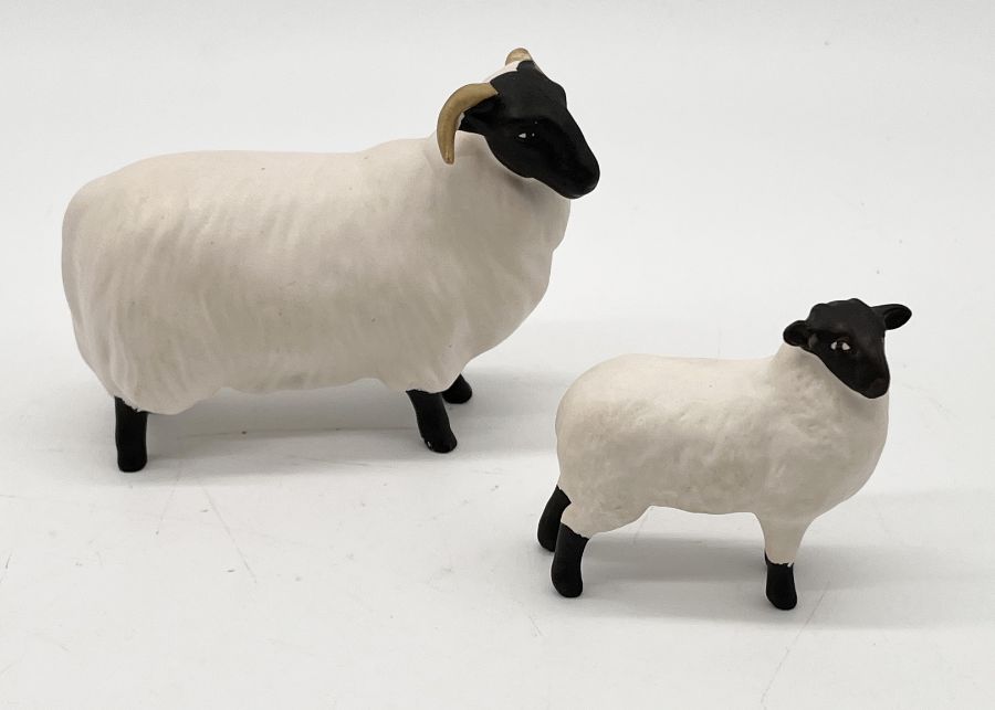 A collection of five Beswick Black Faced sheep including a matt ram and lamb along with three others - Image 6 of 8