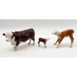 Three Beswick Hereford cattle including a Polled Bull model no. 2549A, calf model no. 1249E and