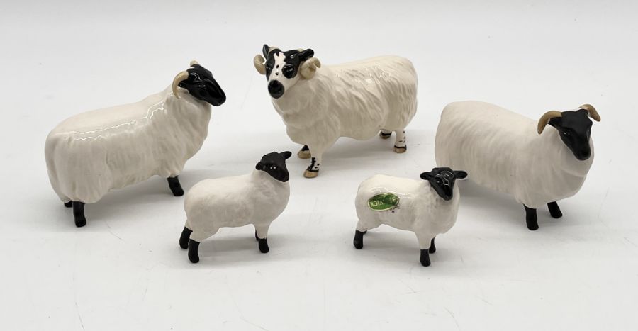 A collection of five Beswick Black Faced sheep including a matt ram and lamb along with three others