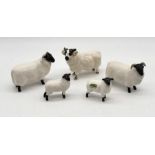 A collection of five Beswick Black Faced sheep including a matt ram and lamb along with three others