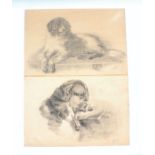 Two Edwardian pencil drawings of dogs, signed Lilian Turner, 1903 and 1909, 51 x 34.5cm.
