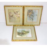 Three ornithological prints in faux bamboo frames.