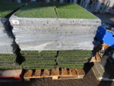 PALLET OF INTERLOCKING ASTRO TURF FAKE GRASS TILES WITH CUSHION BACKING, 50MM X 50MM, APPROXIMATELY