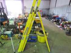 2 X TB DAVIES GRP STEP LADDERS. SOURCED FROM COMPANY LIQUIDATION. THIS LOT IS SOLD UNDER THE AUCTIO