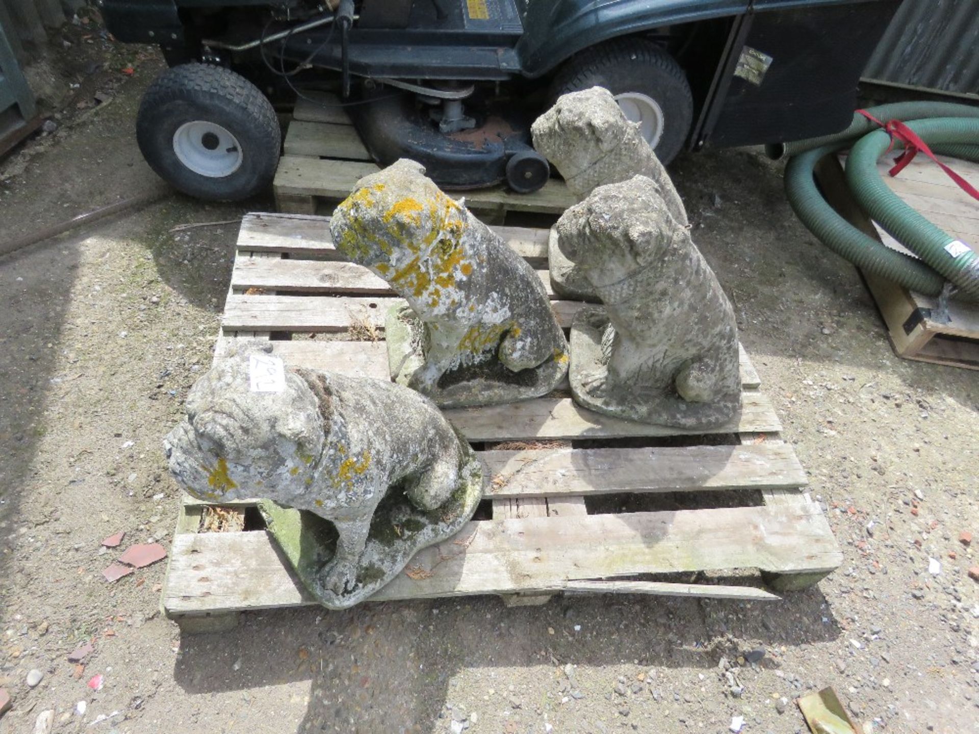 4 X DECORATIVE GARDEN BULLDOG FIGURES/STATUES. THIS LOT IS SOLD UNDER THE AUCTIONEERS MARGIN SCHEME, - Image 2 of 2