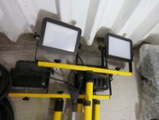 2 X WORK LIGHTS. DIRECT FROM LANDSCAPE MAINTENANCE COMPANY DUE TO DEPOT CLOSURE.