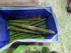 BOX OF BREAKER STEELS.