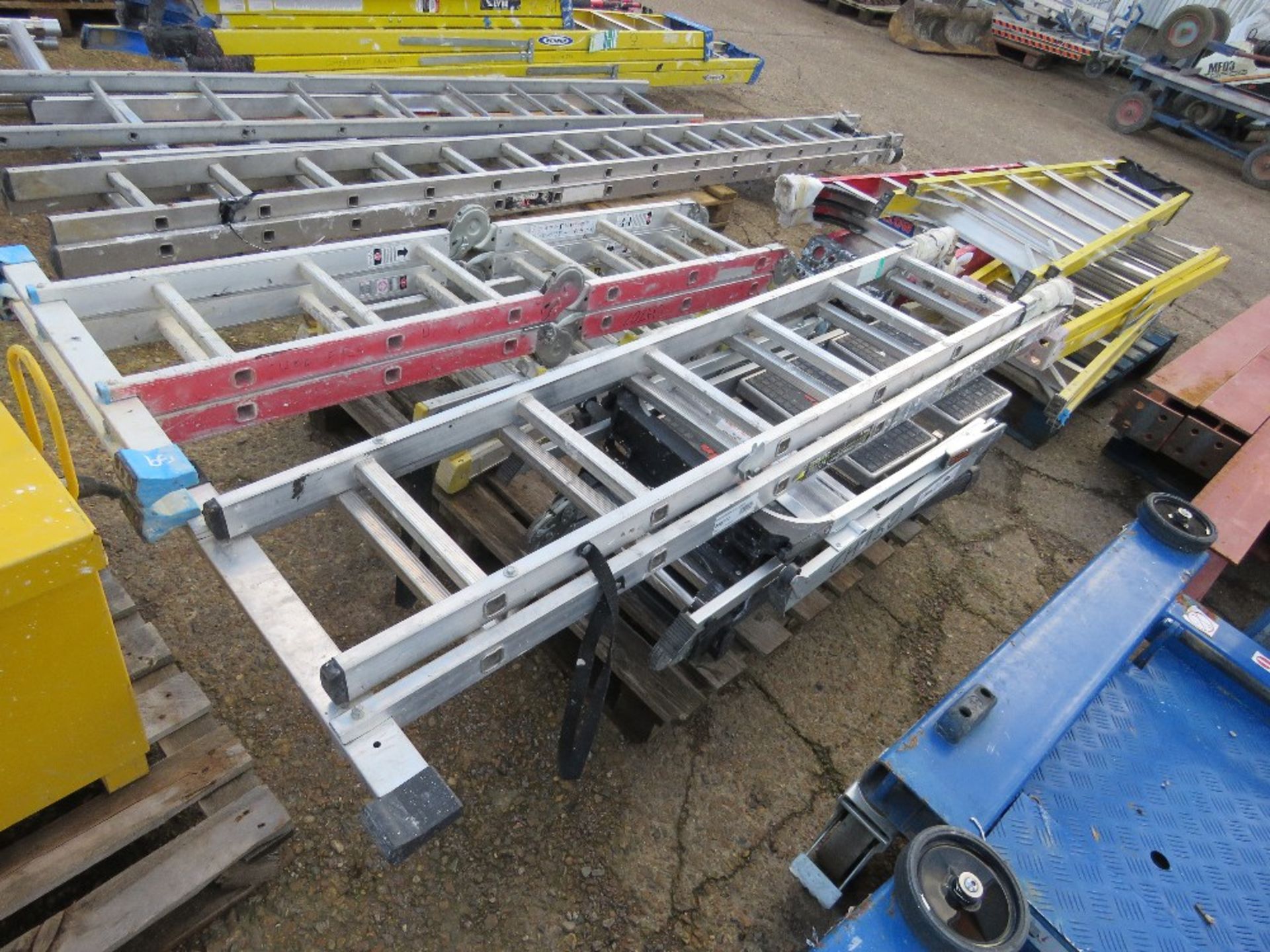 5 STEP LADDERS. SOURCED FROM COMPANY LIQUIDATION. - Image 2 of 3