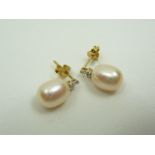 9ct gold pearl and diamond earrings