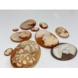 Assorted cameo shells