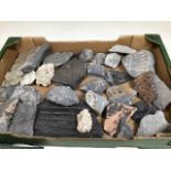 A box of fossils and two books. Fossils of the chalk and Fossils of the Oxford clay