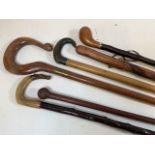 A collection of walking sticks and crooks to include horn handle examples and a horse head.