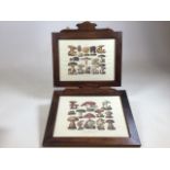A pair of fungi prints in decorative stained pine wooden frames W:47cm x H:43cm