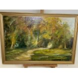 Don Blizzard (British 20th century) Autumn Woods oil on board. W:60cm x H:40cm