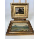 Two late 19th early 20th century oils on board, both unsigned. W:36cm x H:24.5cm