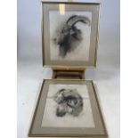 A pair of framed pencil sketches of rams heads on white paper. Signed lower right Dora A..yes.