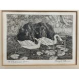 A Henry Wilkinson etching entitle the Windermere swan, signed and titled in pencil Image W:18cm x