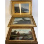 Three early 20th century oils of landscape scenes. W:73cm x H:52cm