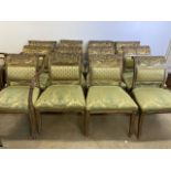 Twenty (20) French style chairs to include six carvers. Seat height approx 47cm.