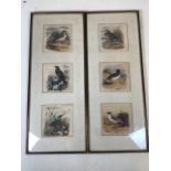 Six hand painted English bird illustrations on silk. C.1800â€™s. Unsigned. Watercolour and