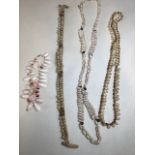 A Cowrie shell collar together with 2 cowrie shell necklaces and a necklet of tiny conch shells.
