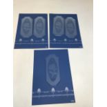 Five decorative glass finger plates W:8cm x H:18cm
