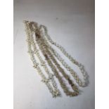 Three long Cowrie shell necklaces. Longest approx 128cm