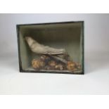 Taxidermy interest - a bird with dried flowers in a glazed case W:30cm x D:14cm x H:23cm