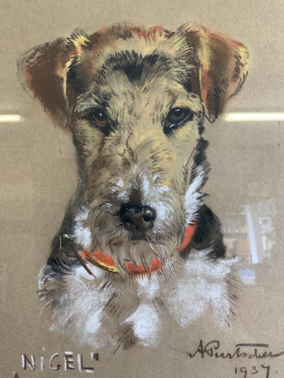 A mid century Pastel portrait of a terrier called Nigel. W:25cm x H:30cm - Image 5 of 6