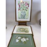 Floral paintings, two watercolours and a pastel of a blossom by Patricia Mills. Daffodils by