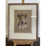 A mid century Pastel portrait of a terrier called Nigel. W:25cm x H:30cm