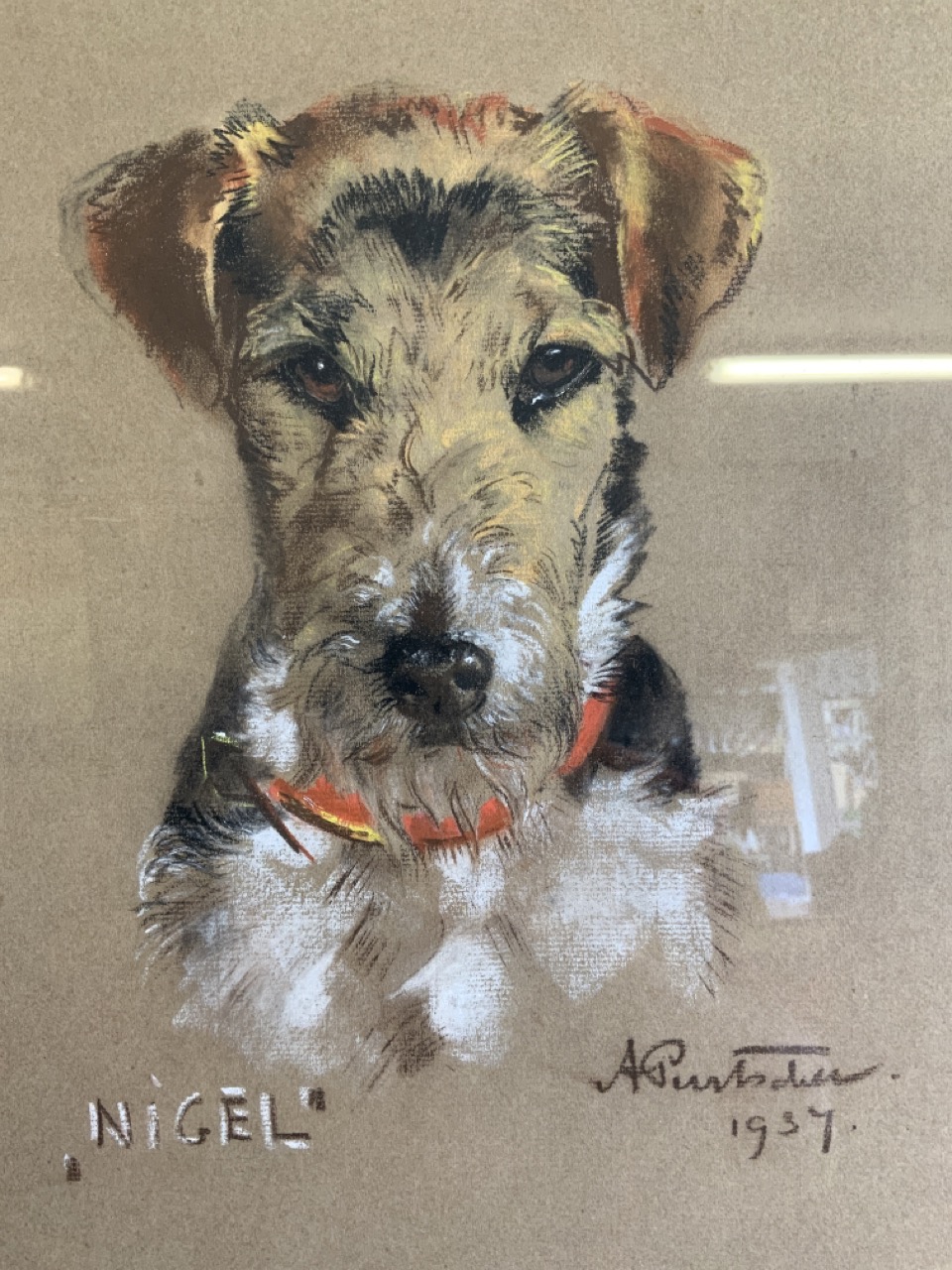 A mid century Pastel portrait of a terrier called Nigel. W:25cm x H:30cm - Image 2 of 6