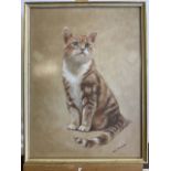A pastel portrait of a ginger tom cat. Frobisher. W:33cm x H:42cm