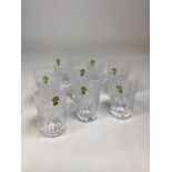 Waterford Crystal - eight tall cut tumblers with original stickers H:13cm