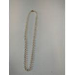 A string of pearls with 9 carat gold clasp. Length 64cm