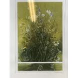 Orsola Adlem limited edition print of the pond 7 of 30. Signed in pencil. W:29cm x H:44cm