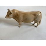 a Beswick Charolais Bull in gloss finish. Beswick England stamped to both front hooves H:13cm