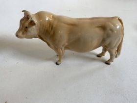 a Beswick Charolais Bull in gloss finish. Beswick England stamped to both front hooves H:13cm
