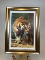 A late 20th century print by Rolf Harris of a tiger. W:64cm x H:88cm