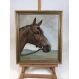 Framed original acrylic on board horse portrait. Signed Joan Barrington to corner. Good condition.