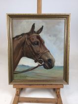 Framed original acrylic on board horse portrait. Signed Joan Barrington to corner. Good condition.