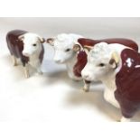 Two Beswick Hereford bulls - Champion of Champions. One bull marked Beswick to underside of back