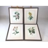 4 framed prints of Pierre-Joseph Redoute (1759-1840) stipple engravings of flowers. Good