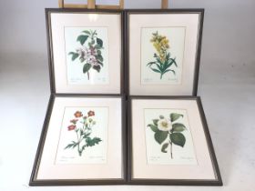 4 framed prints of Pierre-Joseph Redoute (1759-1840) stipple engravings of flowers. Good