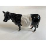 Beswick. A Belted Galloway cow with pink nose and udder, stamped Beswick to underbelly Also with