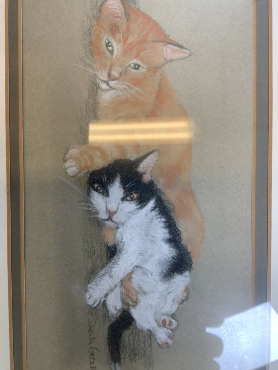 J.Des Clayes (British) Two pet portrait paintings (dogs) and a pastel old cats. - Bild 4 aus 5