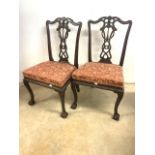 A pair of Victorian ball and claw dining chairs with Chippendale style carved backs. Seat height H: