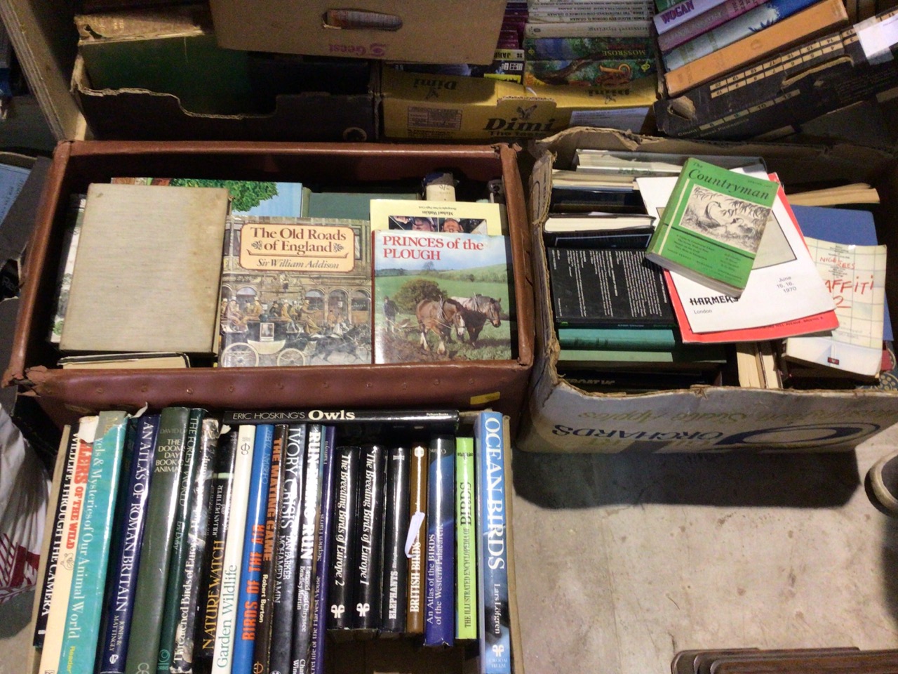 A very large quantity of books in multiple boxes including, wildlife, birds, sporting, trains, - Image 6 of 8