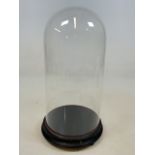 A Victorian glass dome with wooden base. Height inside glass H:37cm